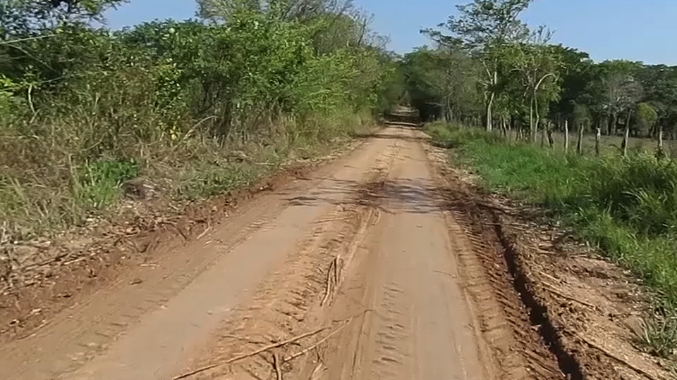 Siguen Sin Darle Mantenimiento A Los Caminos Saca Cosecha