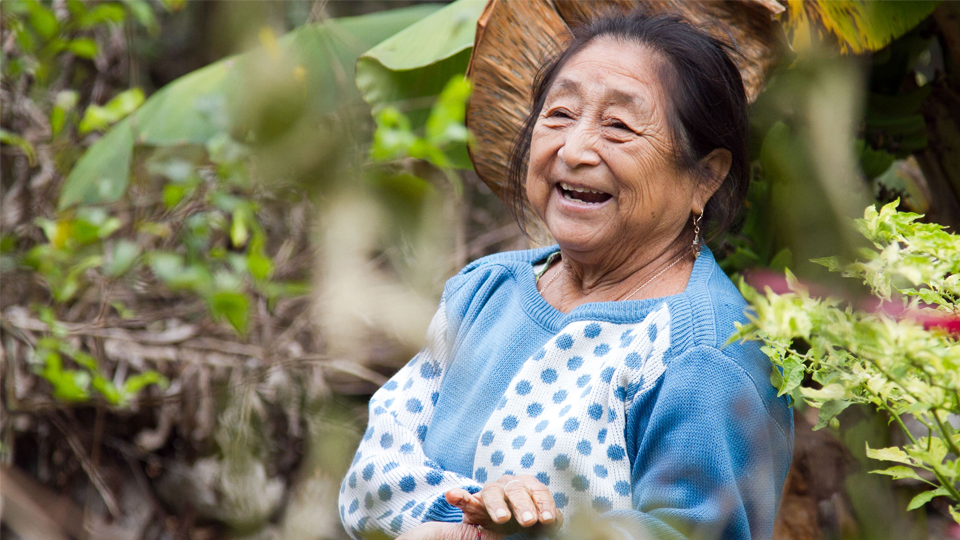 Exhortan a jóvenes de sentirse orgullosos de sus raíces maya