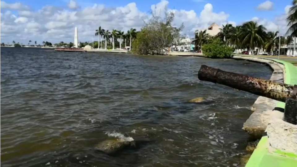 Bah A De Chetumal Con Altos Grados De Contaminaci N