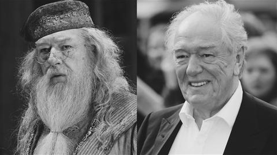 dumbledore primer actor