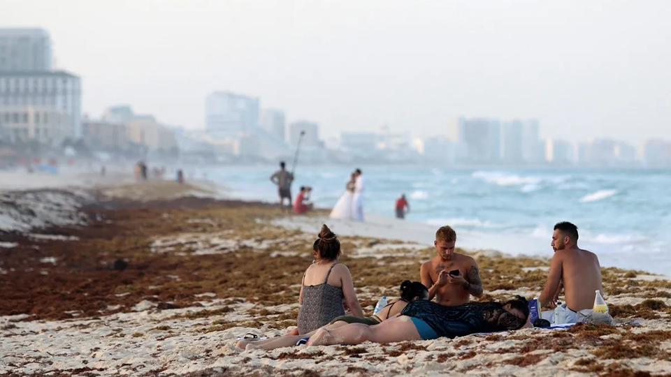 El mal tiempo trae de nuevo el sargazo a las costas de Cozumel