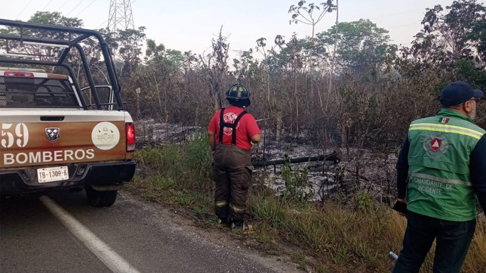 Atienden primer incendio forestal en la carretera Cancún-Mérida